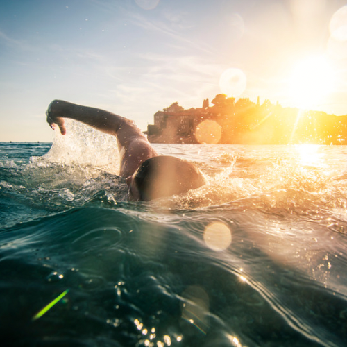 Open Water Schwimmen